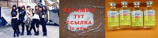 сатива Бородино