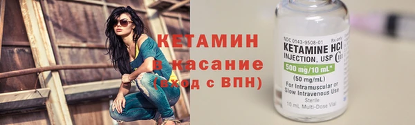 сатива Бородино