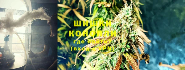 сатива Бородино