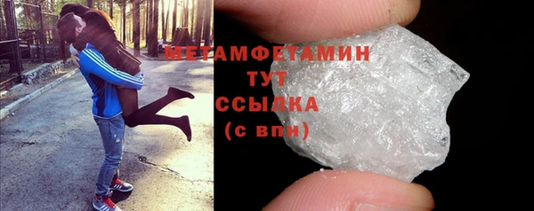 сатива Бородино