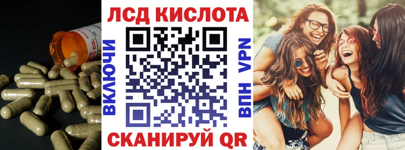 где можно купить   Старица  ЛСД экстази кислота 
