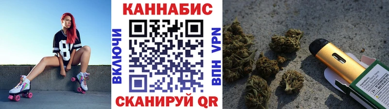 купить   Старица  Каннабис планчик 